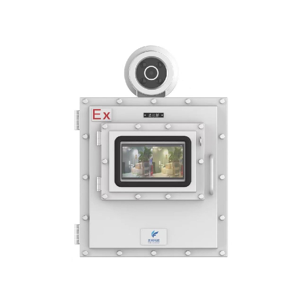 可視化非甲烷總烴在線監(jiān)測系統(tǒng)甲苯檢測儀